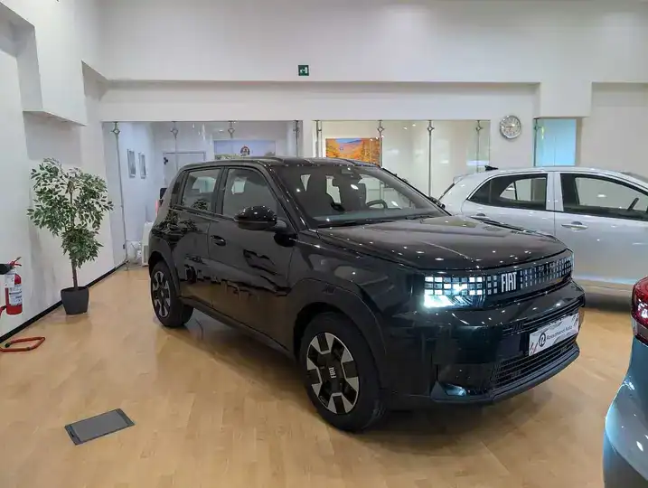 fiat-grande-panda-icon